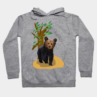 Little bear in vector illustration Hoodie